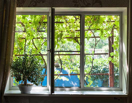 A row of casement windows.