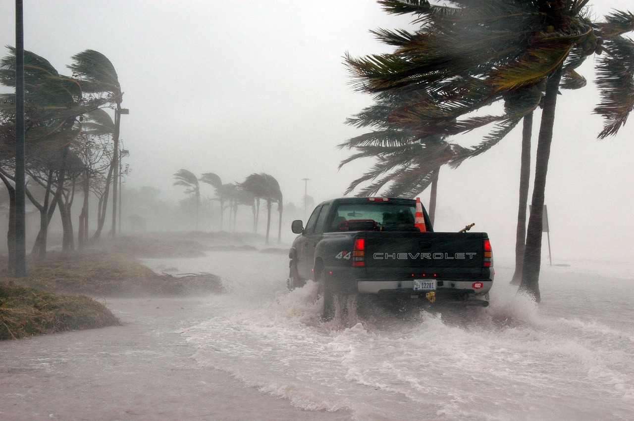 Truck parked by palm trees in the middle of an active hurricane.