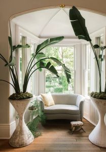 A home nook that has a variety of plants and biophilic design on full display. 